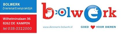 logo praktijk Bolwerk